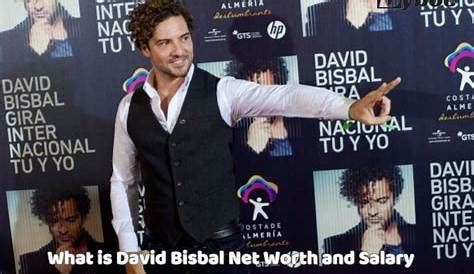 david bisbal net worth|David Bisbal Net Worth